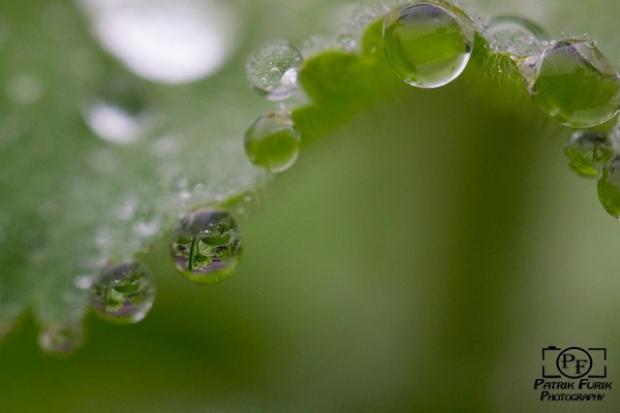..., Obrazky k článkom, Patrik-photograf, 1