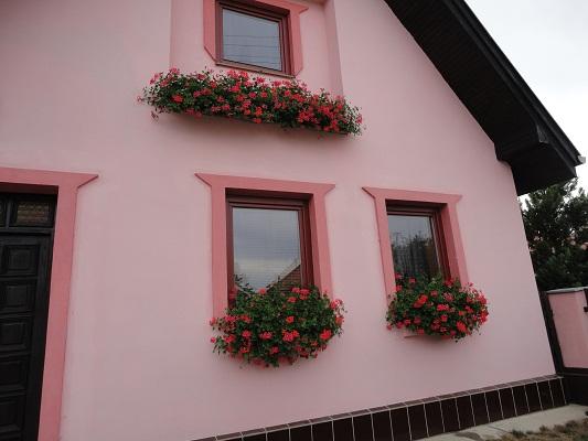 tento rok vládnu muškáty..., Okenné parapety tento rok vládnu muškáty..., Okenné parapety, 21dada02, 1