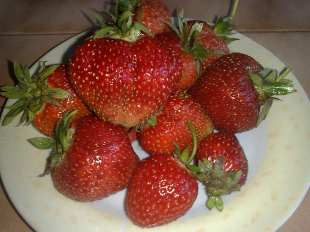 Dnes bol zber velmi prijemny :o), Zeleninová záhrada Dnes bol zber velmi prijemny :o), Zeleninová záhrada, Kacenka9, 1