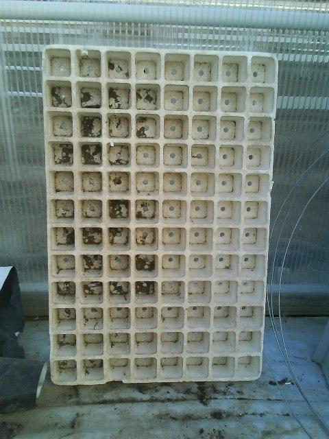 polyesterove pestovateľské tácky, A všeličo ostatné, Katus, 1