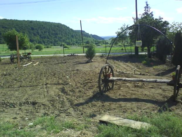 2, Náš dvor, Začínajúca Tortička, 1