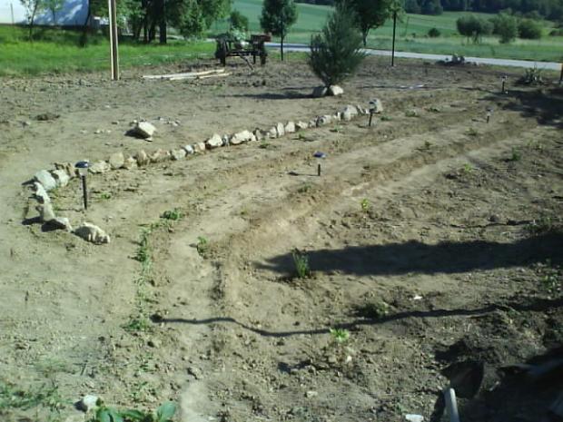 3, Náš dvor, Začínajúca Tortička, 1
