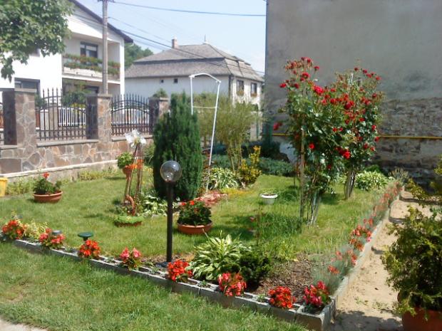 predzahradka, Náš dvor, Silvia 123, 1