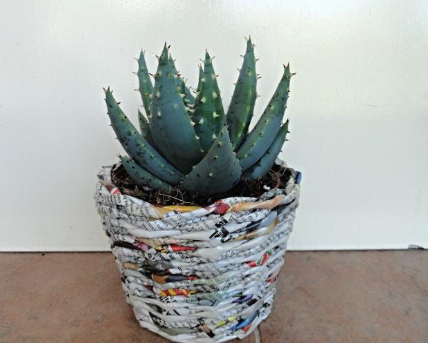 Aloe, Okenné parapety Aloe, Okenné parapety, rosalka, 1