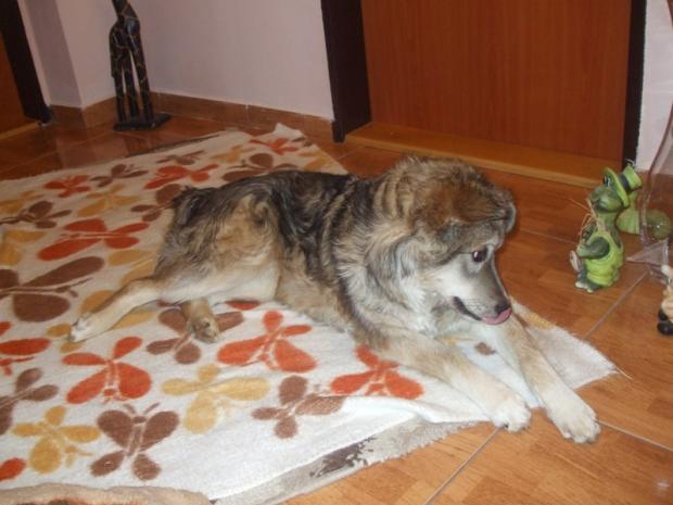 nechcel sa kuknut, A všeličo ostatné nechcel sa kuknut, A všeličo ostatné, monikal, 1