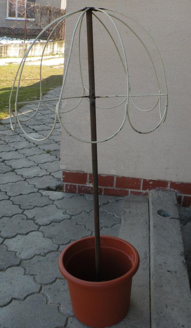 ja už mááám!, Terasy, ulla, 1