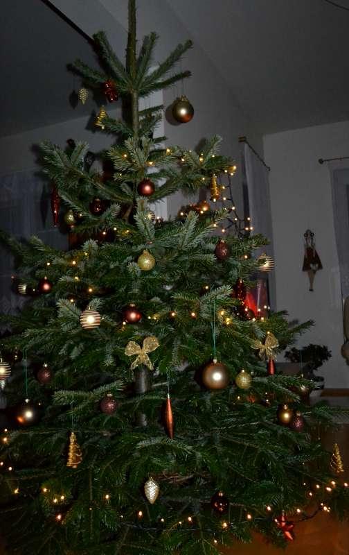 Všetkým návštevníkom tejto stránky, A všeličo ostatné, Kami7, 1