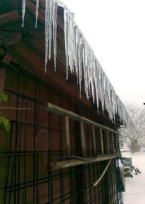 cencúle..., Náš dvor, Mili1, 1