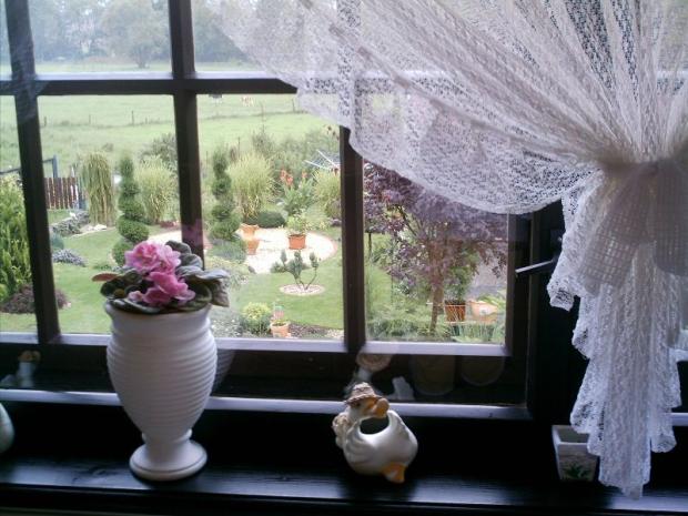 Fialky na kuchynskom  okne, Okenné parapety, Jasmin, 1