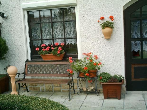 Tohoročné muškáty, Okrasné záhradky, Jasmin, 1