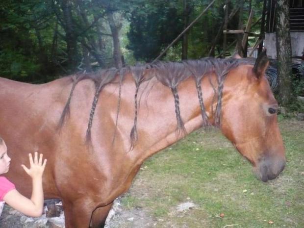kadernícky salon, A všeličo ostatné, lilinka152, 1