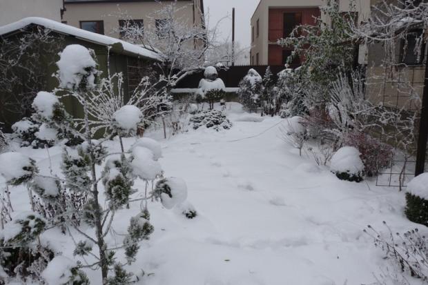 Taká šlahačková :-). , Okrasné záhradky, satka31, 1