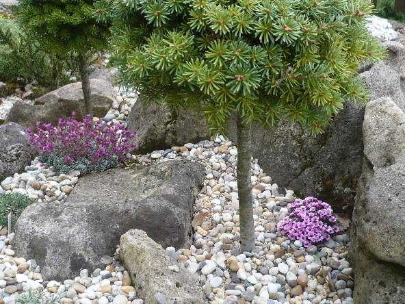 V krajinke saxifrag a čarovníkov 3, Skalky, alpinka, 1