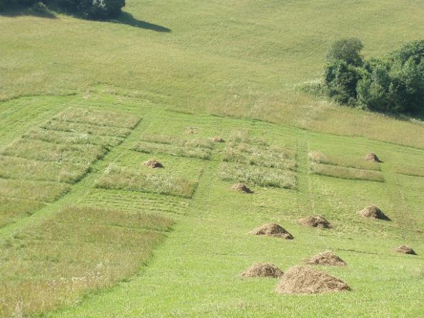 sušenie sena vo Vlkolínci, adrikar, 1
