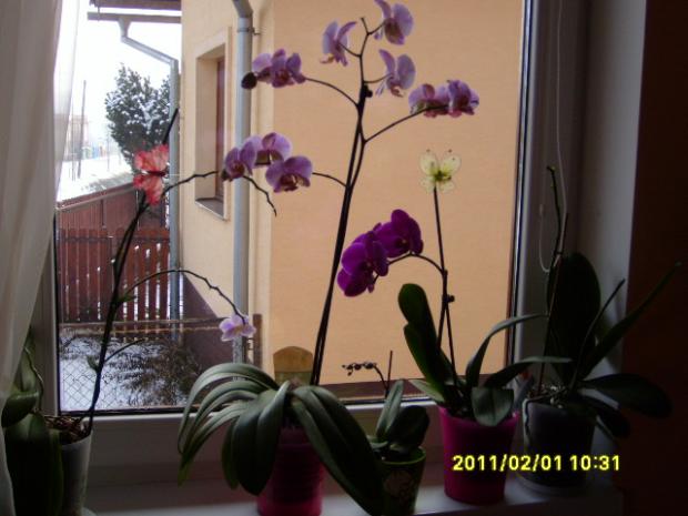 okno v izbe, Okenné parapety, zdenca, 1