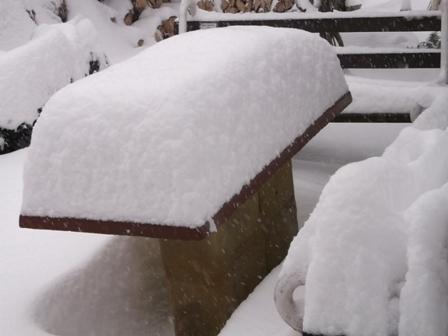 a je prestreté..., Náš dvor a je prestreté..., Náš dvor, osika, 1