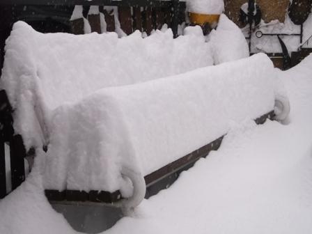 Nech sa páči-sadnite si u nás..., Náš dvor Nech sa páči-sadnite si u nás..., Náš dvor, osika, 1