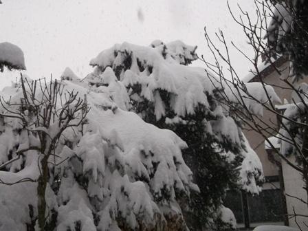 ešte včera..., Náš dvor, osika, 1