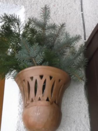 zimná kytica..., A všeličo ostatné, osika, 1