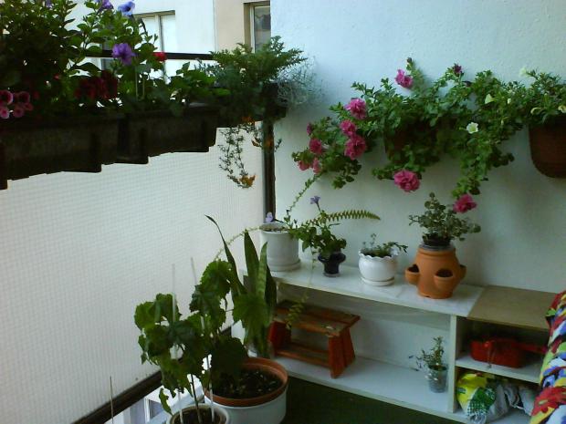 moj balkon, kitaka, 1