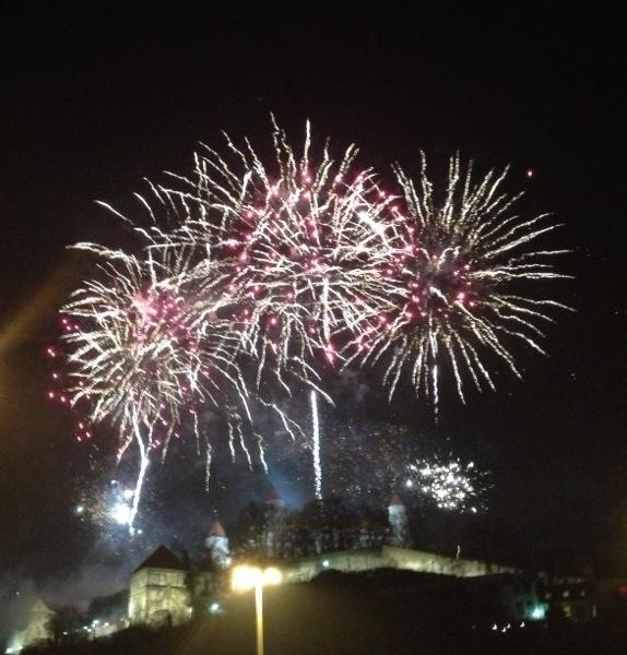 Nech bude Nový rok 2013 rozkvitnutý šťastím!, A všeličo ostatné, , 1