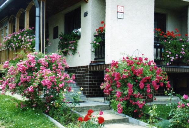 Tahave ruze, Okrasné záhradky Tahave ruze, Okrasné záhradky, katka501, 1