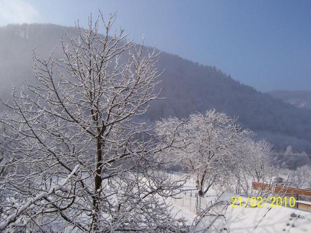 dnešné ráno, Náš dvor dnešné ráno, Náš dvor, Hanka47, 1
