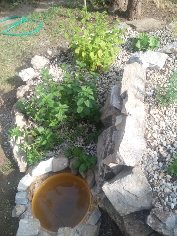 Moja bylinková špirála, návod, Záhrada, 9 Moja bylinková špirála, návod, Záhrada, johanka_6, 9